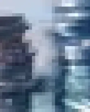 TLC - COLOMBIA - ESTADOS UNIDOS 5 AÑOS