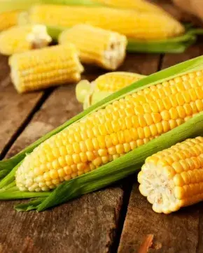 Buque, Mazorca y Pistolas de gasolina