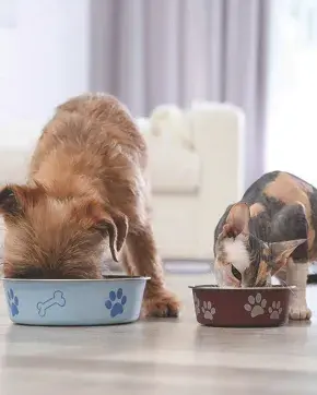 Alimentos para mascotas en Estados Unidos