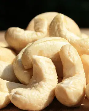 Informe de Marañon en el mundo