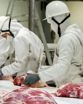 Empresa ganadera en Colombia