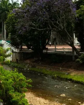 Landscape in Cali city