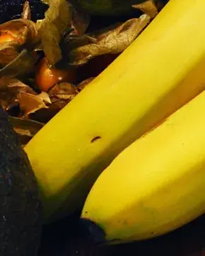 Banano colombiano en la región de Menasa