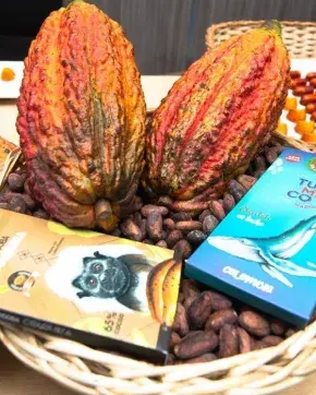 Cacao con Chocolates  en Estados Unidos