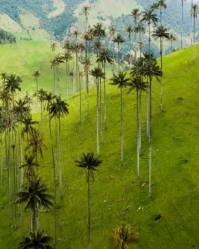 Fotografía panorámica de paisaje en Colombia