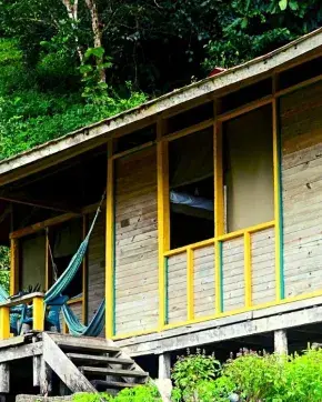 Cabaña en medio de la selva