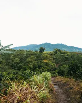 Fotografía panorámica de paisaje en Colombia