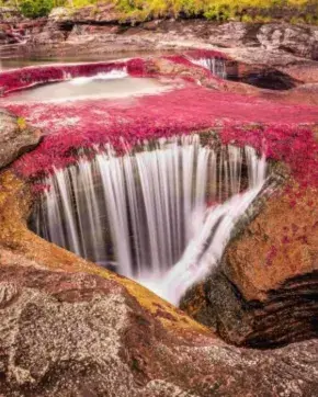 Caño Cristales en el departamento del Meta