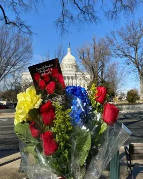 Flores colombianas e san valentin