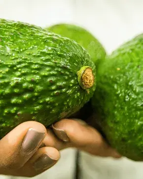 Aguacate Colombiano