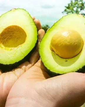 Colombian Hass avocado