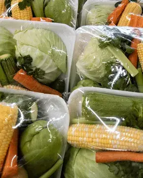 Alimentos agrónomos  de Colombia