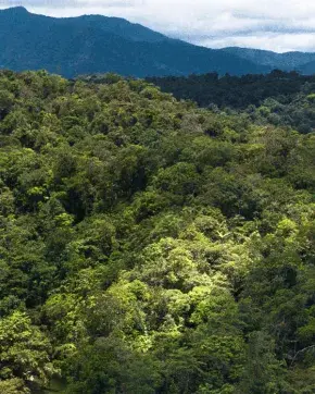 Paisaje verde de montañas