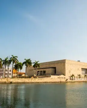 Paisaje de Cartagena con varias palmeras