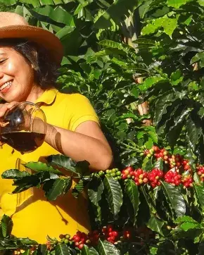 Fotografía de agricultores en el eje cafetero