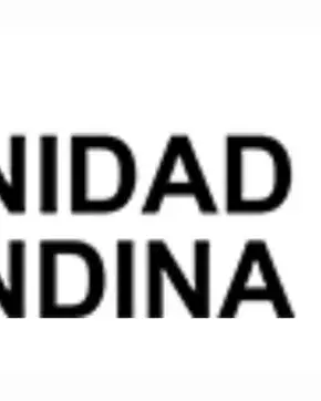Banner de Comunidad Andina