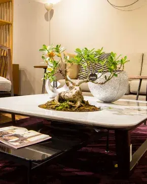 Sala de apartamento con diseño de interiores Colombiano