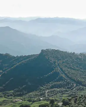 Panoramic landscape photography