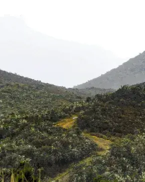 Fotografía panorámica de paisaje con montañas en Colombia