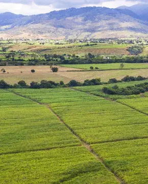 Foto panorámica de paisaje en Colombia