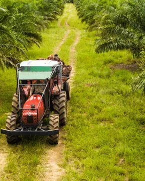 Tractor en medio de campo Colombiano