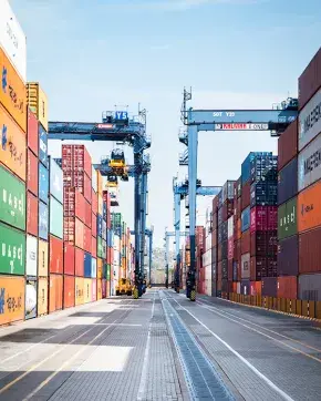 contenedores pollo y huevo