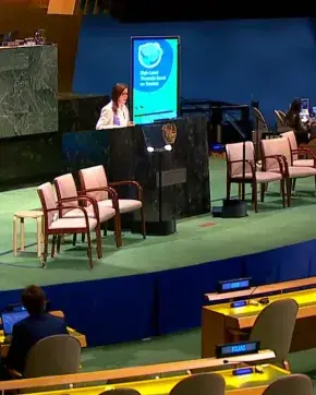 Presentación en las Naciones Unidas