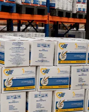 Bodega de empresa exportadora