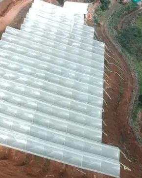 Invernaderos de cannabis