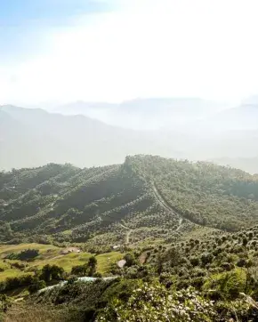 Paisaje con montañas en Colombia