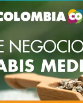Banner de rueda de negocios virtual sobre Cannabis Medicinal
