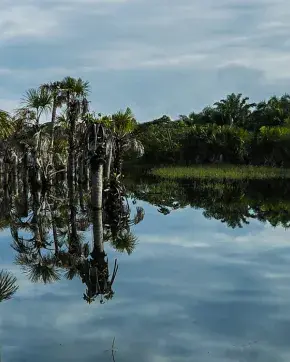 Paisaje de un lago en Colombiano