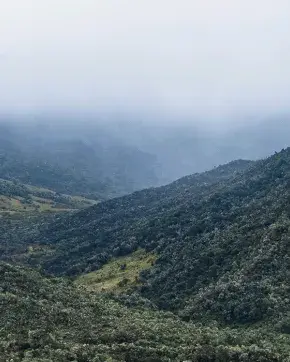 Panoramic landscape photography