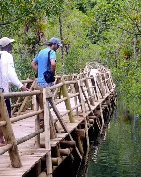 Turistas en puente de madre en medio de un bosque
