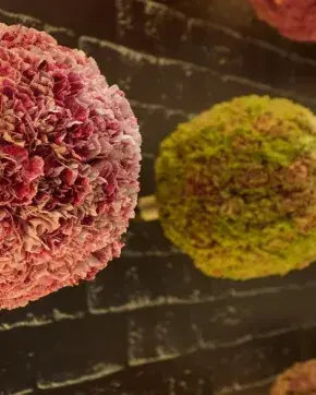 Arreglos decorativos de flores colombianas