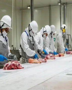 Empresa de carnes bovinas