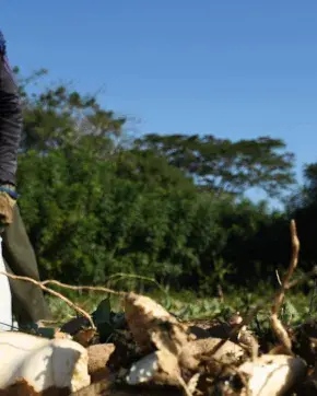 Agricultores en el campo