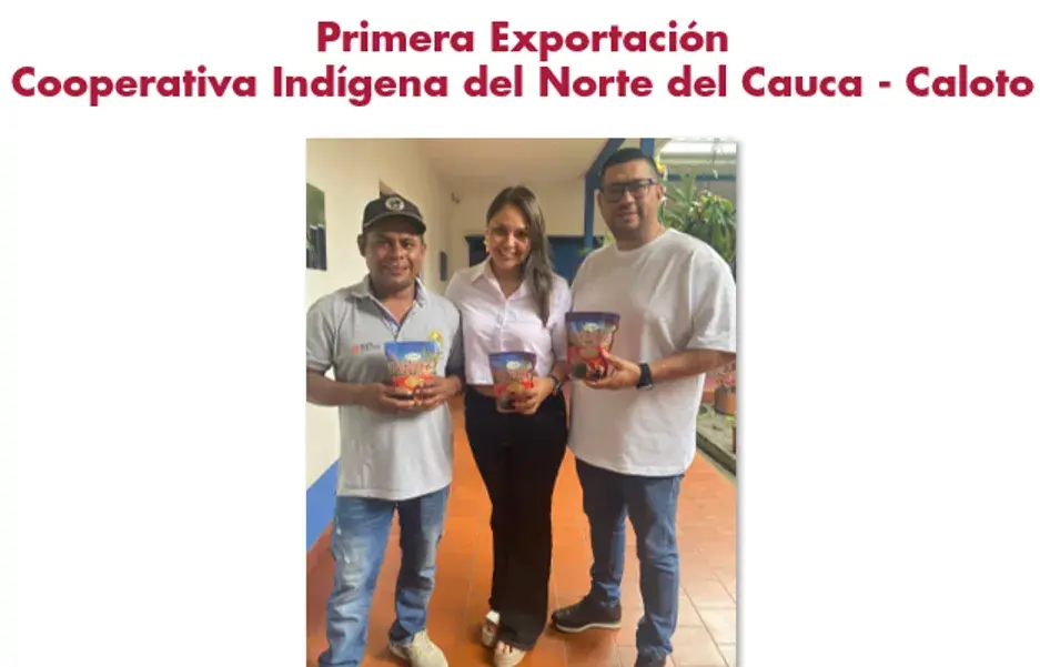 Imagen eliminada.