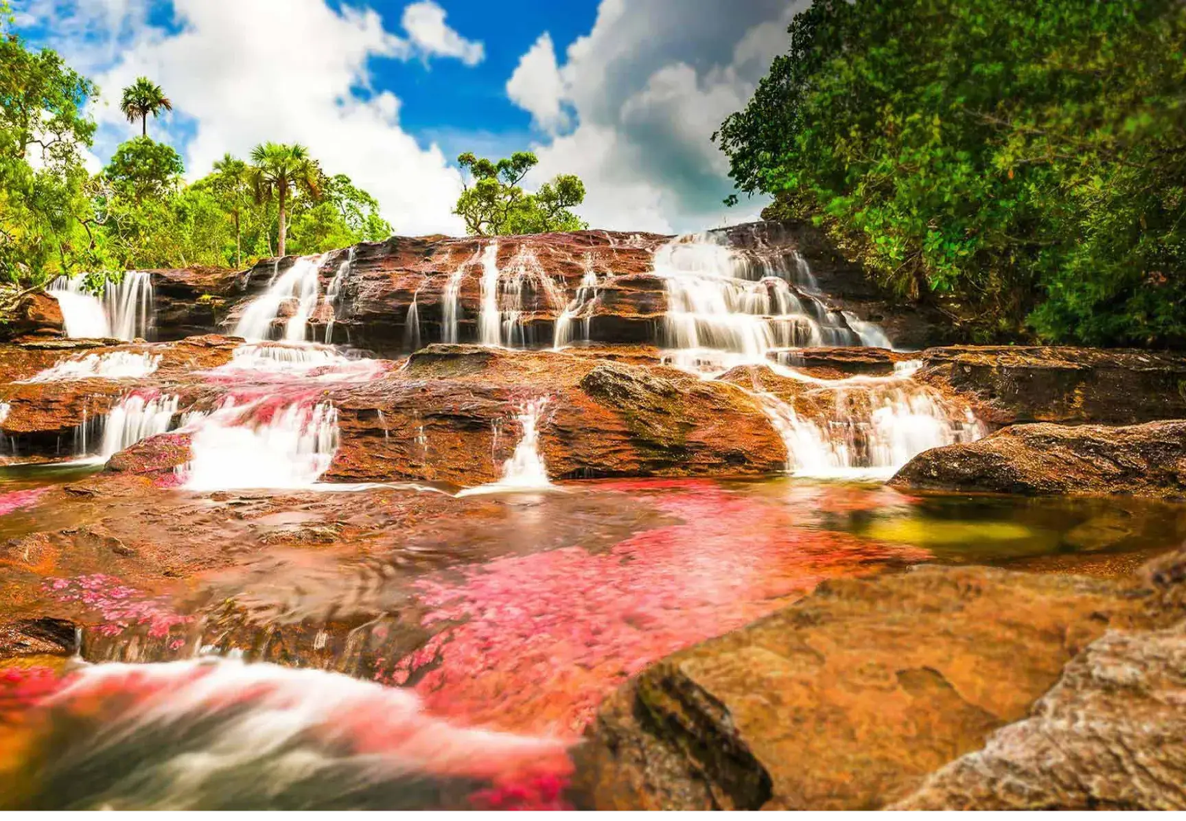 cano cristales