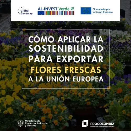 Cómo aplicar la sostenibilidad para exportar flores frescas a la UE