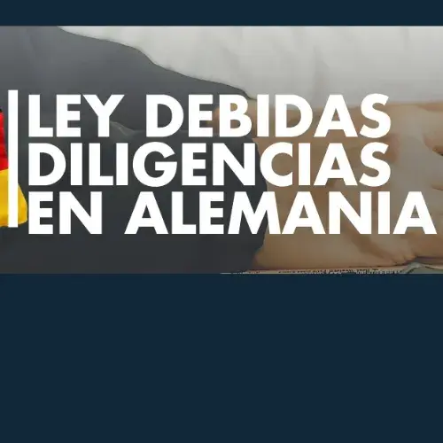 Ley debidas diligencias Alemania