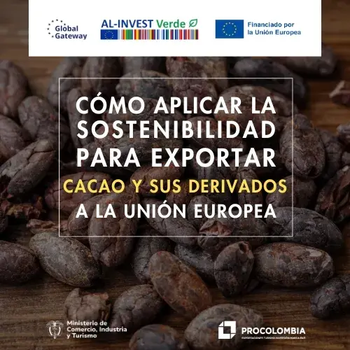 Cómo aplicar la sostenibilidad para exportar cacao y sus derivados a la UE