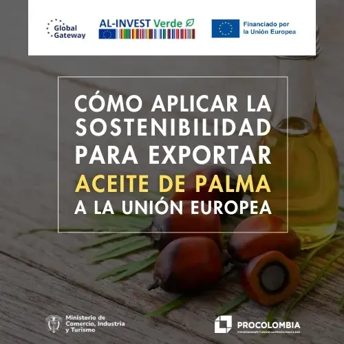 Cómo aplicar la sostenibilidad para exportar aceite de palma a la UE