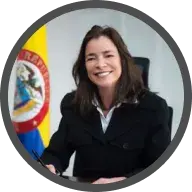 organigrama-presidenta-procolombia-ejemplo