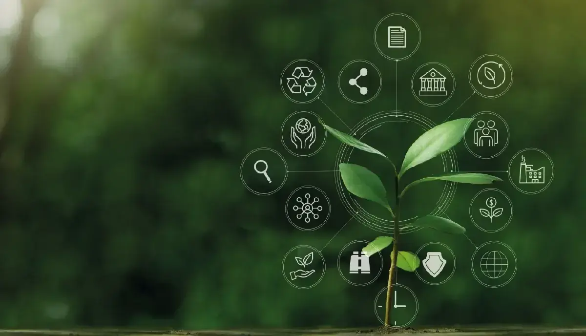 Sustainable icons next to a plant.