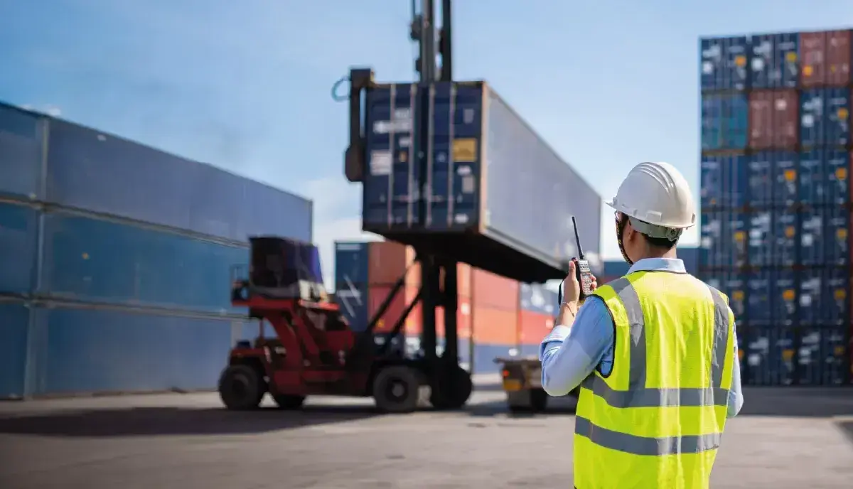 Worker looking the development of export goods trading.