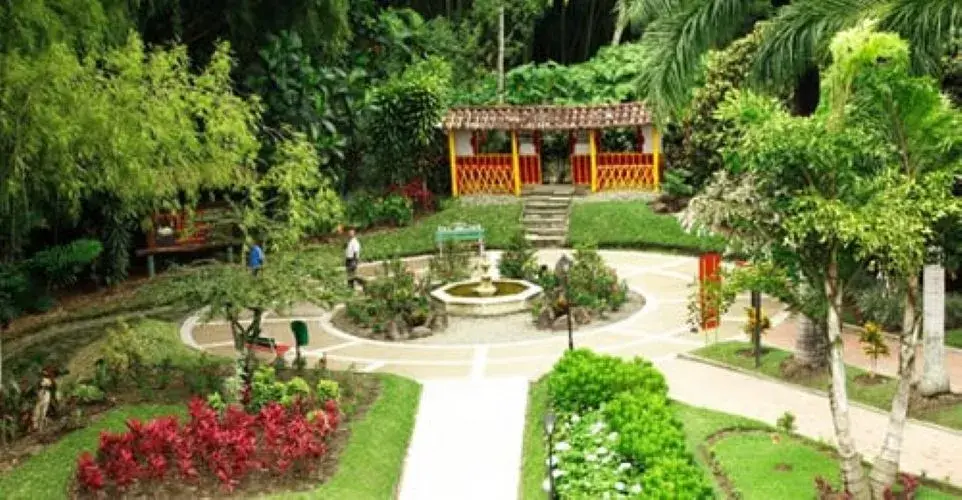 Coffee Cultural Landscape in the Race to Become the Eighth Wonder of the World