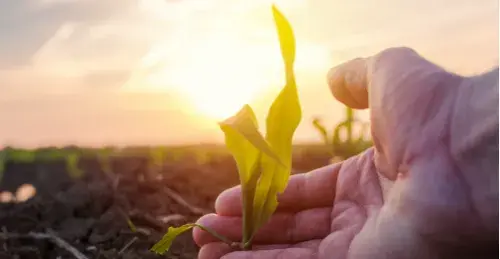 Proexport promueve el turismo, inversión extranjera y exportaciones en Colombia