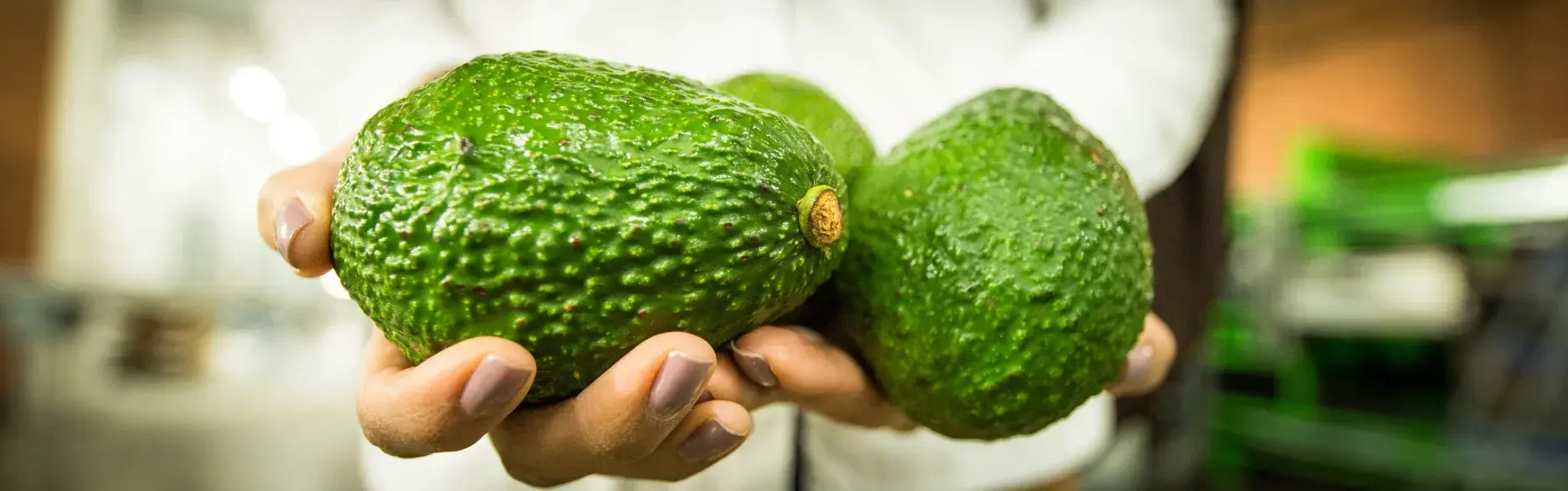 El aguacate en Estados Unidos