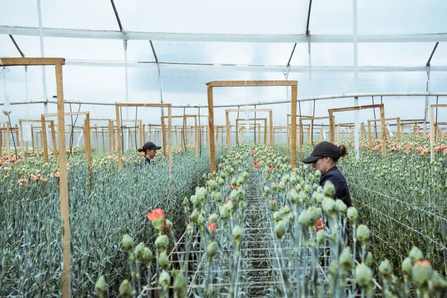 El mercado de flores en China